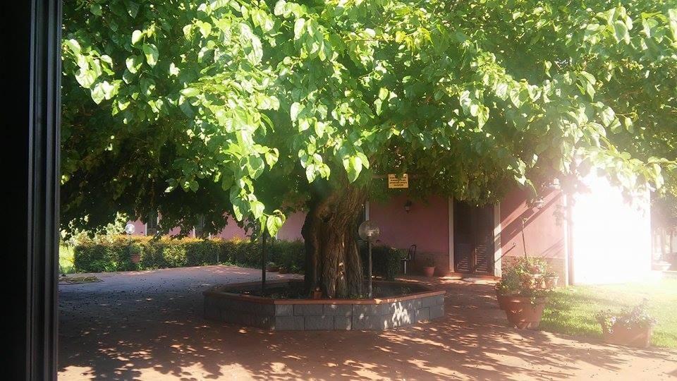 Agriturismo Il Pozzo Antico Mascali Exterior foto